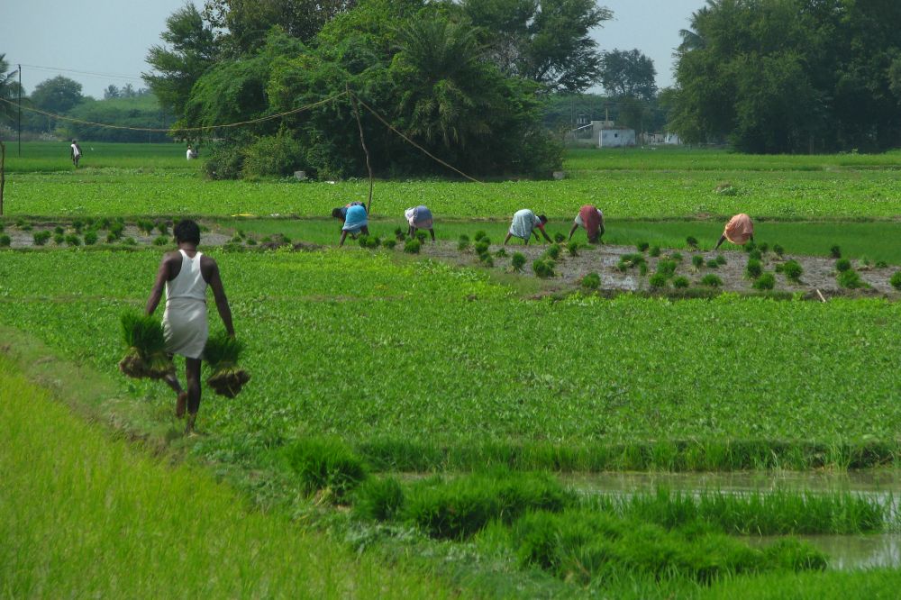 Need to monitor where agriculture credit is going: JS