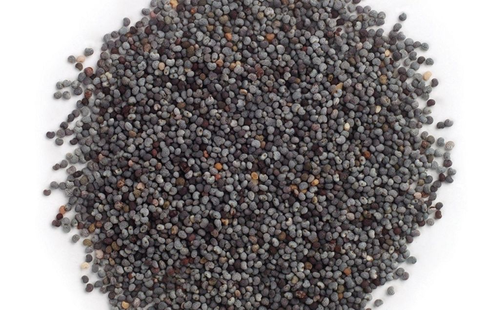 India-Turkey MoU on poppy seeds trade gets Cabinet nod