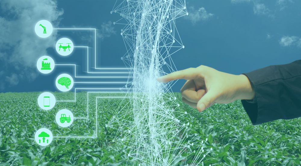 artificial intelligence research in agriculture a review