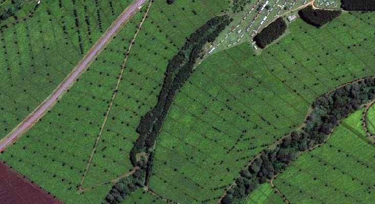 PMFBY: Using satellite imagery for assessing farmers crops