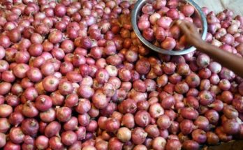Agriculture ministry relaxes fumigation norms on onion imports