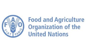FAO scales up fight against Fall Armyworm
