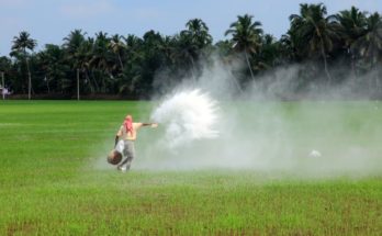 d Talcher unit of Fertilizer Corporation of India (FCIL) has been working towards restarting this urea unit, Minister of Chemical and Fertilizers DV Sadananda Gowda informed the Rajya Sabha in a written reply on Friday. 