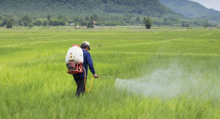 HIL invites JV investments in agrochemical projects in India