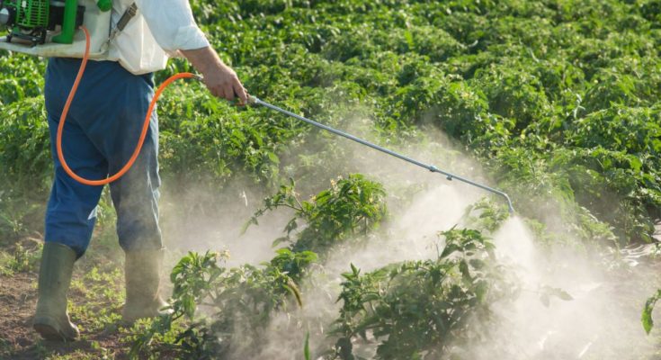 Crop protection industry appeals to Govt for a phase out plan instead of banning 27 pesticides