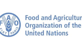 FAO Council approves new measures to reform the UN agency