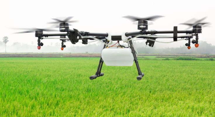 Using drones for agrochemical spray, FICCI-CropLife Paper seeks a robust policy framework