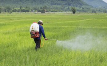 Doubling custom duty on pesticide formulations will hurt farmers hard: CropLife India
