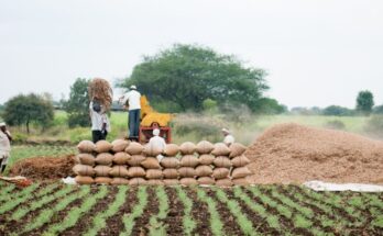 Food loss & waste must be reduced for greater food security and environmental sustainability: FAO