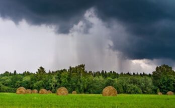 Good news for agriculture, India receives 7% above normal rainfall