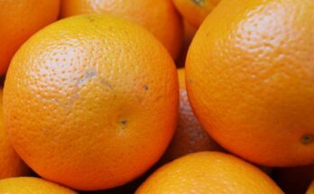 Orange production is estimated at 64 lakh tonnes in 2019-20