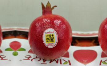 QR code makes fruits’ origin traceability possible for consumers