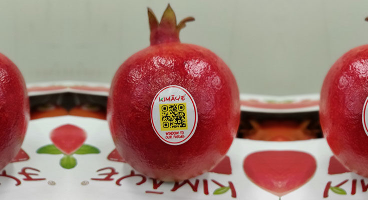 QR code makes fruits’ origin traceability possible for consumers