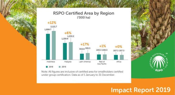 What does RSPO study say on the growth of palm oil cultivation