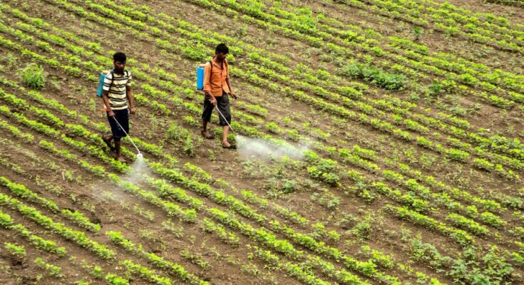 Is there a double whammy for agrochemical industry in India?