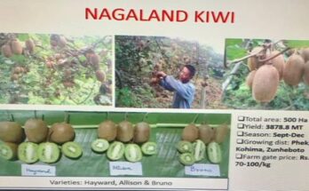 Agriculture ministry organises meet on ‘Value Chain Creation for Kiwi Fruit’