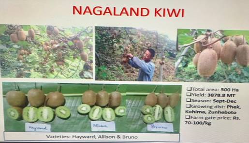 Agriculture ministry organises meet on ‘Value Chain Creation for Kiwi Fruit’