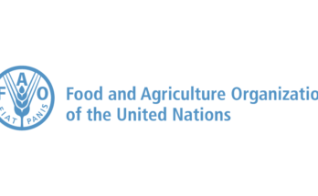 FAO to celebrate World Soil Day on Dec 4, to focus on soil biodiversity