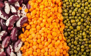 IPGA webinar brings forth insights on lentil crops and global pulses trade
