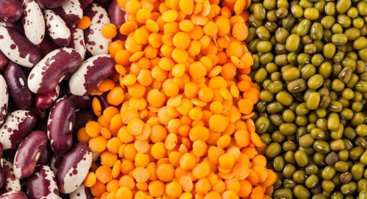 IPGA webinar brings forth insights on lentil crops and global pulses trade