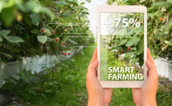 FAO’s International Platform for Digital Food and Agriculture to advance farming sector