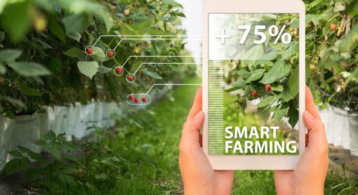 FAO’s International Platform for Digital Food and Agriculture to advance farming sector
