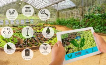 Microsoft’s program to accelerate growth of agritech start-ups in India