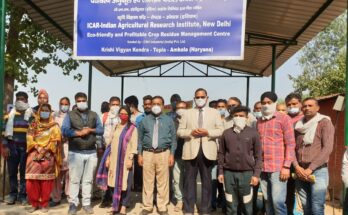 Stubble burning: CNH Industrial, IARI partner for straw management project
