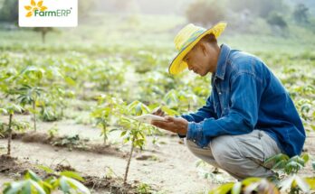 3 Ways, AgTech makes farmers of the future