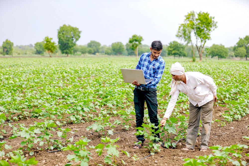 Future of Indian agriculture lies on tech-driven farming practices