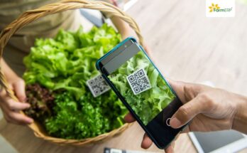 How agritech can ensure food safety and traceability