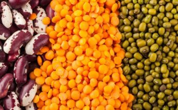 How pulses make a pipeline for nutrition Read a nutrition consultant