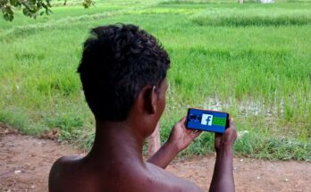 Social media: Empowering farmers to make judicious actions