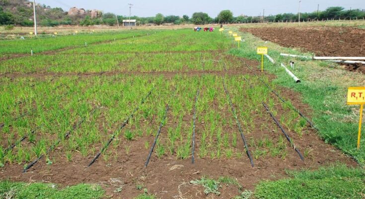 Micro Irrigation Fund of Rs. 5,000 Cr created under NABARD