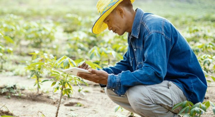 National e-Governance Plan in Agriculture (NeGPA) digitalising farming practices