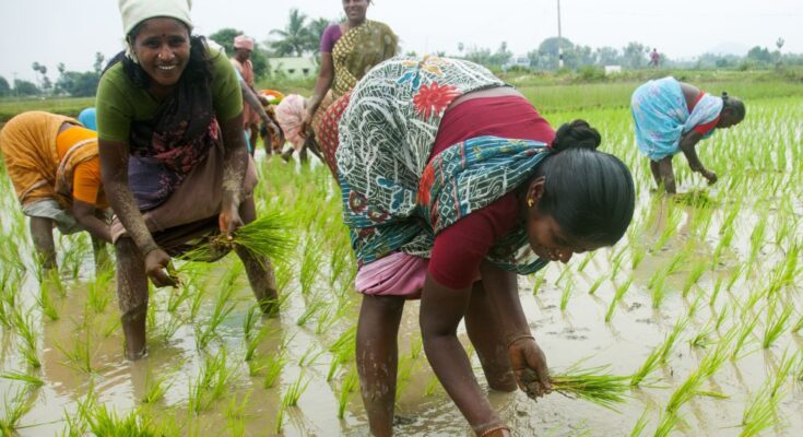 Harnessing agriculture as tool of women empowerment