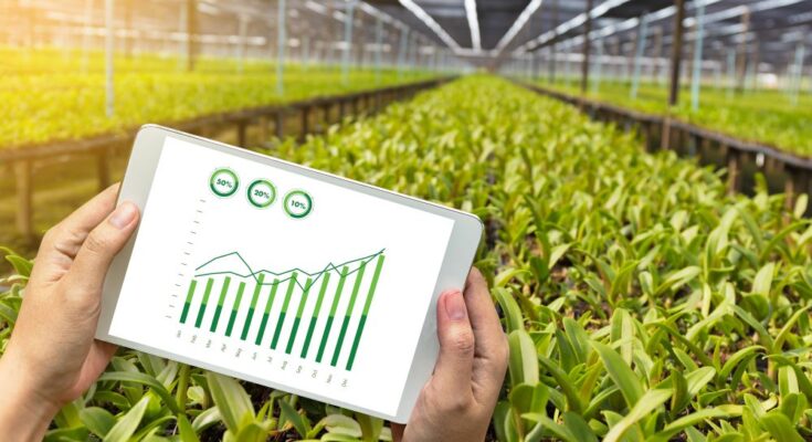 How data-based practices are revolutionising agriculture?