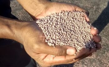 How would be the fertiliser availability during Kharif 2021?