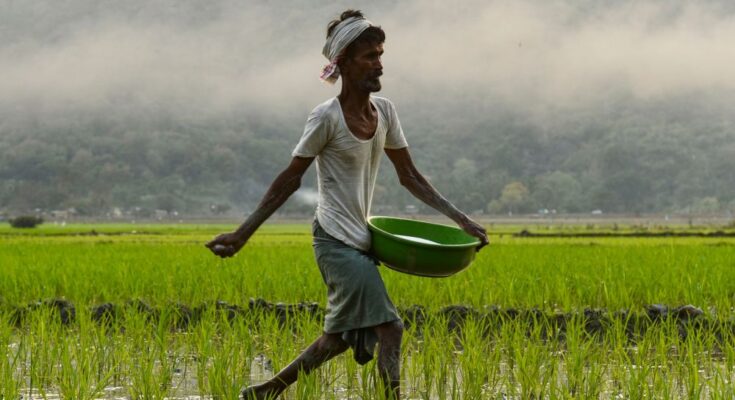 Indian Govt to release 8th instalment of PM-KISAN on 14th May