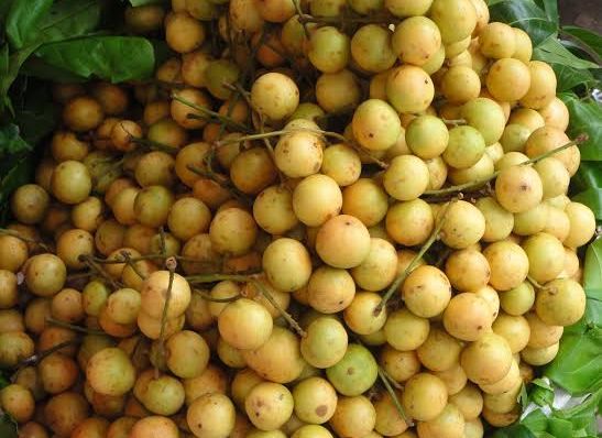 APEDA facilitates Assam grown Burmese grapes’ export to Dubai