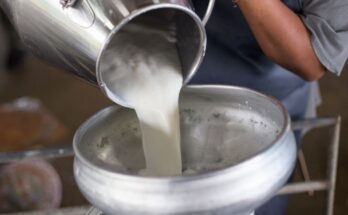 Amul hikes milk price Rs 2 per litre w.e.f. July 1, 2021