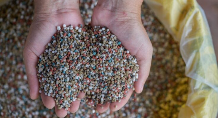 India makes ‘Action Plan’ to become self-sufficient in phosphatic fertilisers
