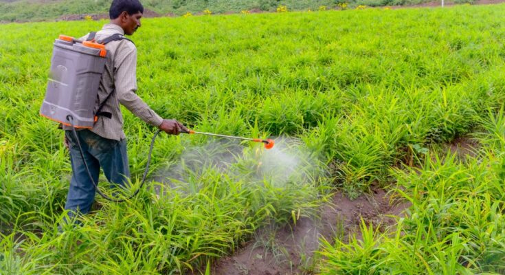 Best Crop Science to manufacture Trifloxystrobin fungicide in India