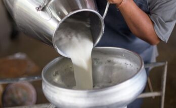 Centre sets up Dairy Investment Accelerator to facilitate investments in dairy sector