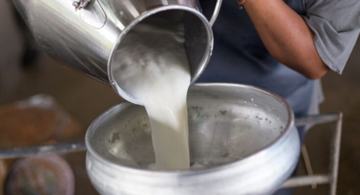 Centre sets up Dairy Investment Accelerator to facilitate investments in dairy sector