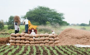 Innoterra, FDRVC ink partnership to boost rural entrepreneurship by connecting FPOs with market