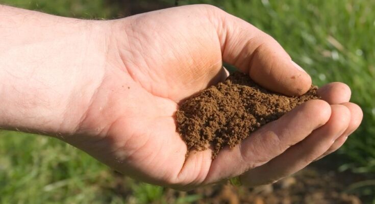 FAO launches tools to encourage soil organic carbon sequestration