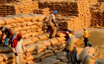 India’s foodgrain production is estimated at 150.5 million tonnes in Kharif 2021