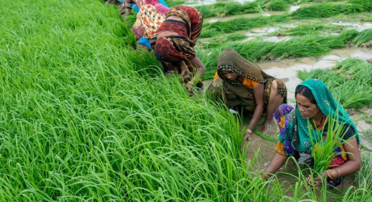 Skymet, GramCover launches Kharif Crop Outlook Report 2021-22