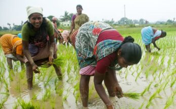 Mastercard, LEAF  to reach 1 million farmers with financial inclusion